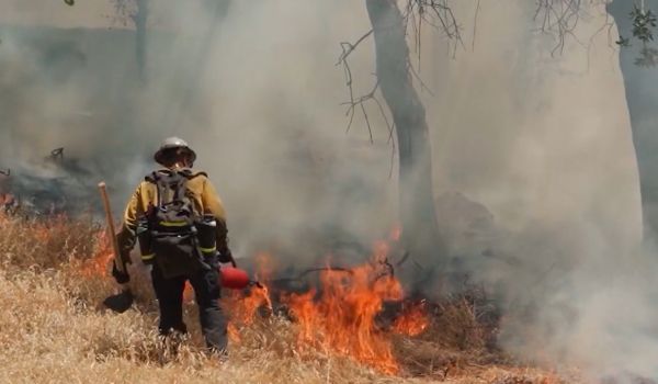 Governo do Estado lança campanha contra incêndios no Piauí