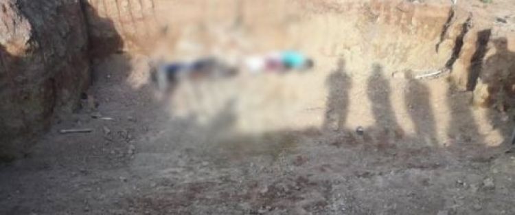 Fonte: Piripiri Repórter