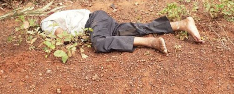 Fonte: Realidade em Foco