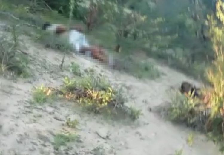 Com Informações: Cidade Verde