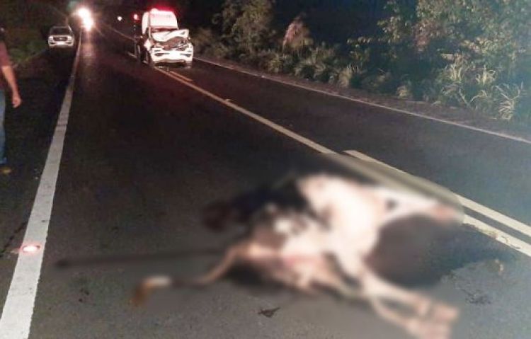 Com Informações: Cidade Verde