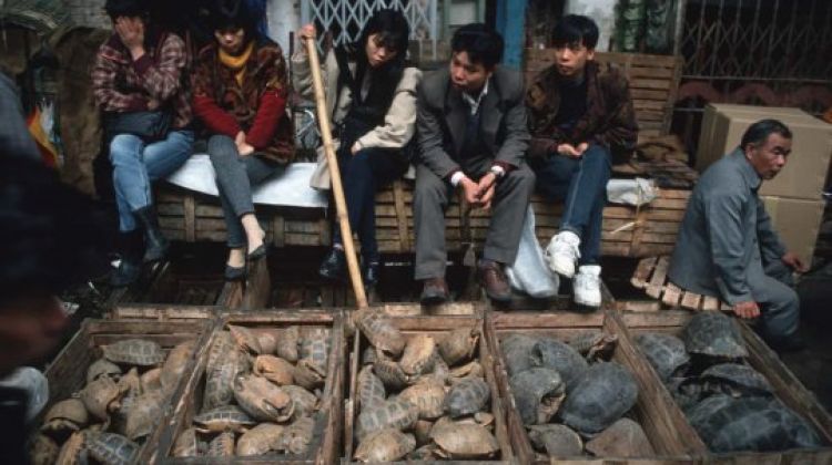 Com Informações: Daily Mail