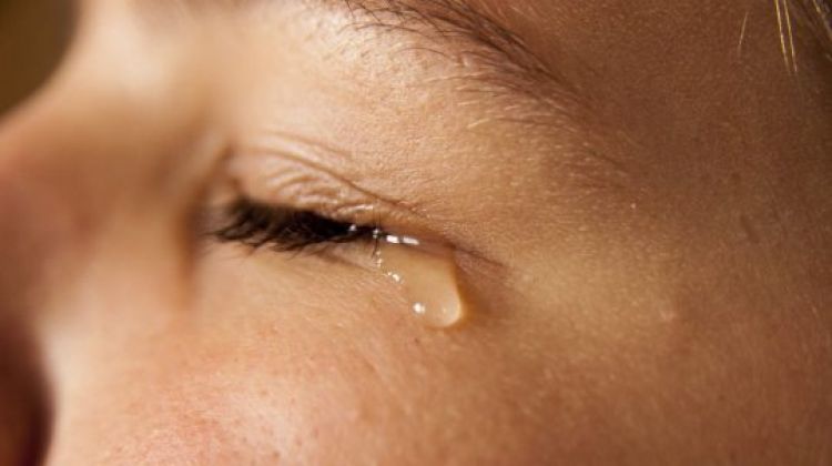 Com Informações: IG