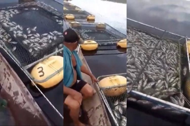 CFom Informações: Portal ponto x