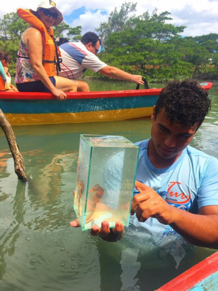 Na foto, o condutor José Pereira Carvalho - BarraTur