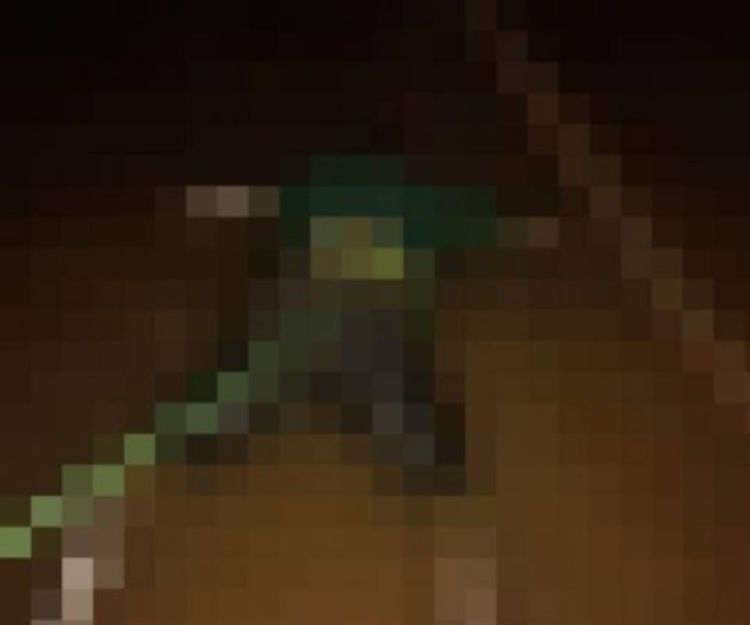 Com informações: Floriano News. 