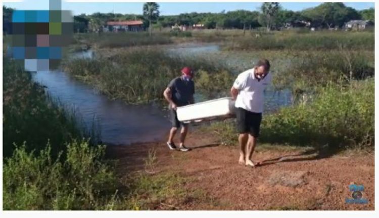 Com Informações: Click Parnaíba 