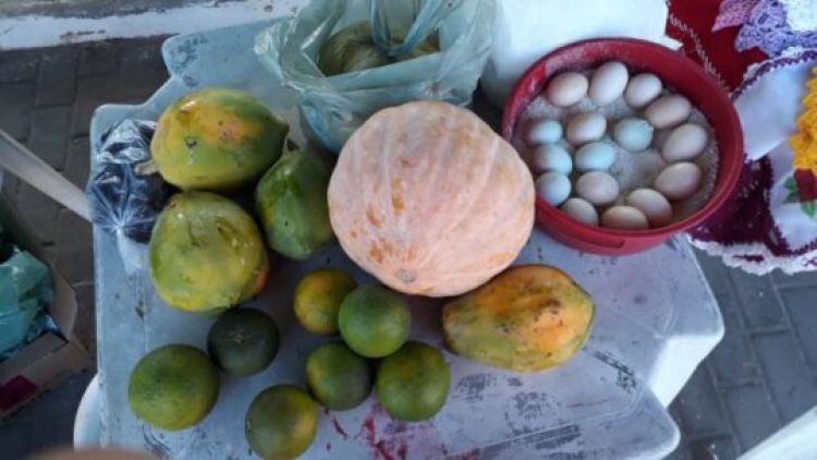 Com Informações: Governo do Piauí 