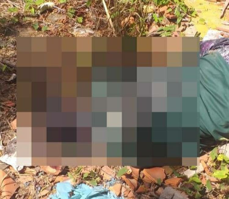 Com Informações: Meio Norte 