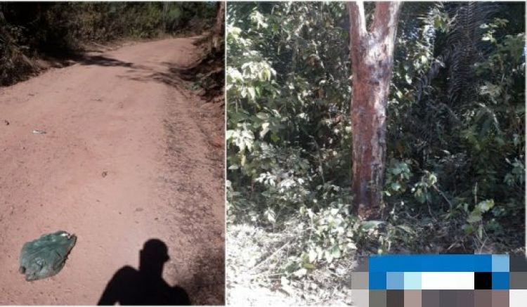 Com Informações: Revista AZ