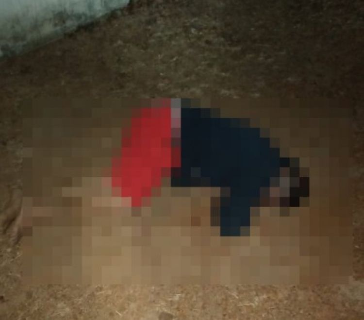 Com Informações: Meio Norte