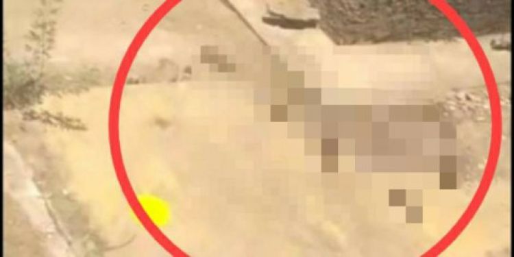 Com informações: Meio Norte 