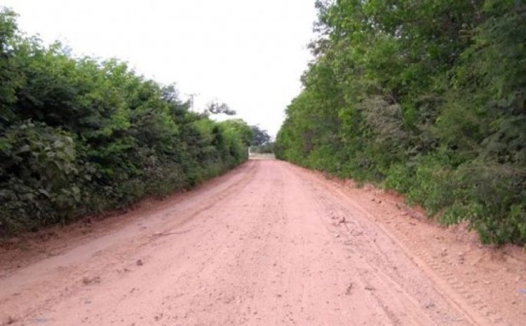 Com Informações: Revista AZ