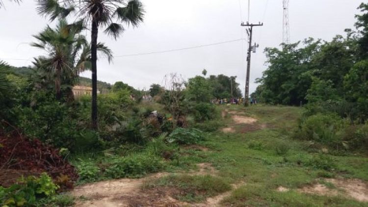 Imagens Reprodução  