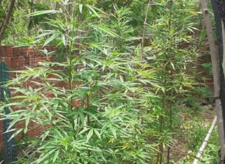 Com informações: Meio Norte