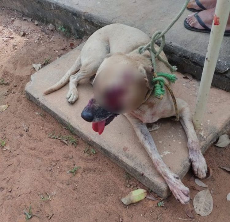 Com informações: G1 / PI