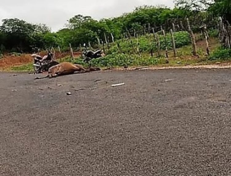 Com Informações: Cidades na Net