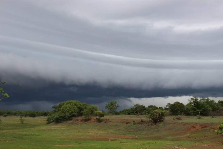 Com informações; G1 PIAUÍ