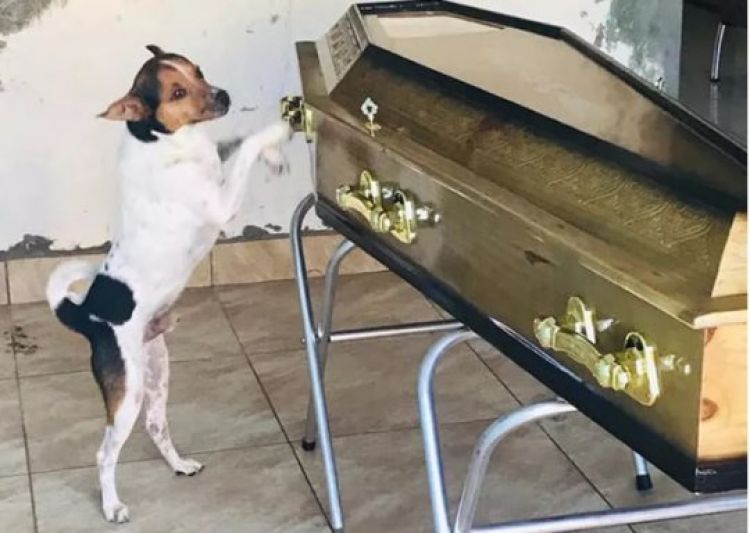 Com Informações: G1 BA