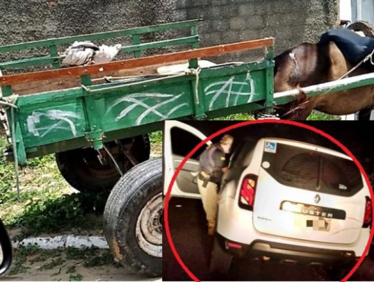 Com informações: Piauí em Dia