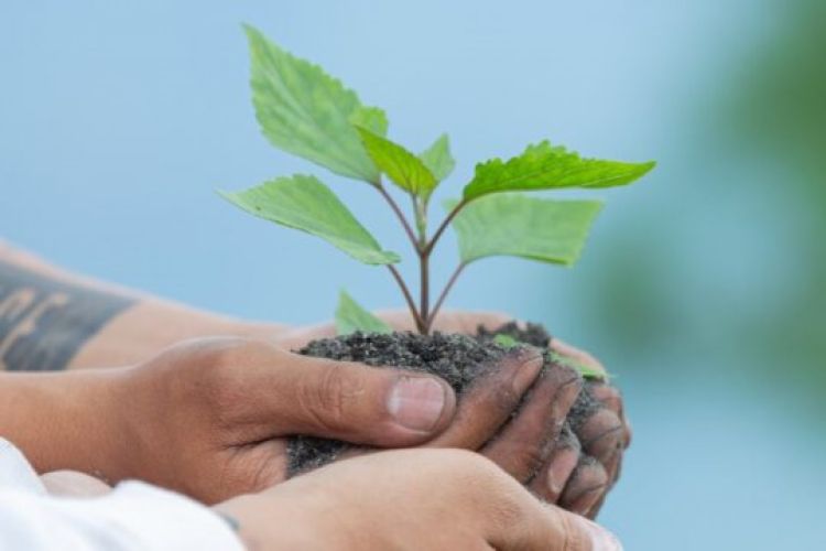 Imagem: Divulgação 