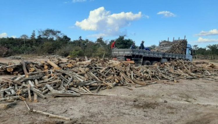 Com informações: G1/PI