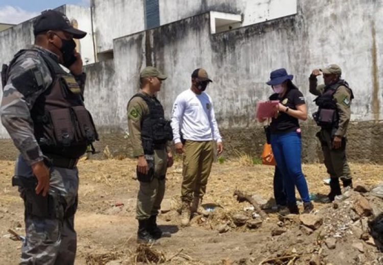 Com informações: Cidade verde