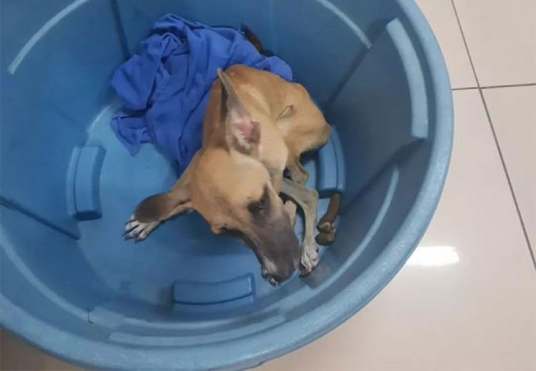 Com Informações: Cidade Verde