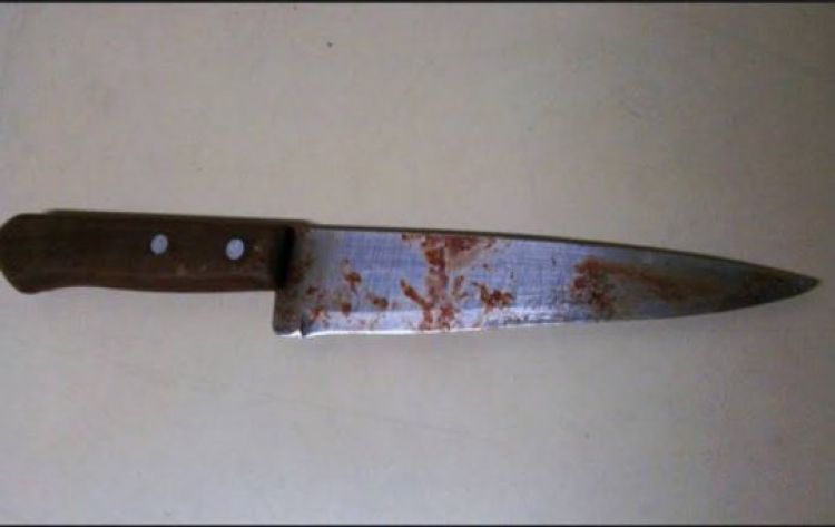 IMAGEM ILUSTRATIVA (GOOGLE) 