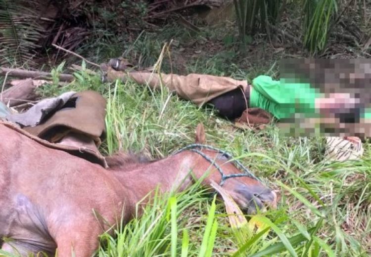 Vaqueiro de 22 anos e cavalo morrem eletrocutados na zona rural de Teresina (Foto: Reprodução/ WhatsApp)