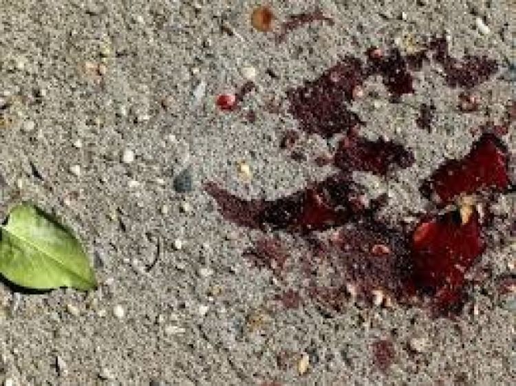 Imagem meramente ilustrativa