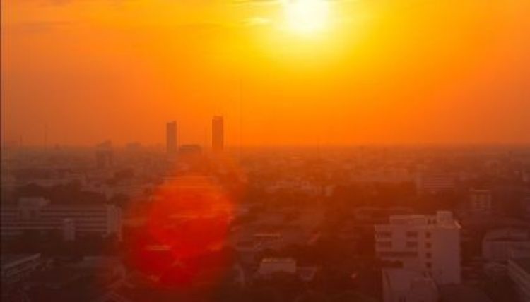 Foto: Reprodução/Site