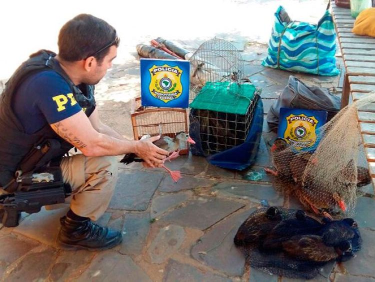 Com informações do NUCOM