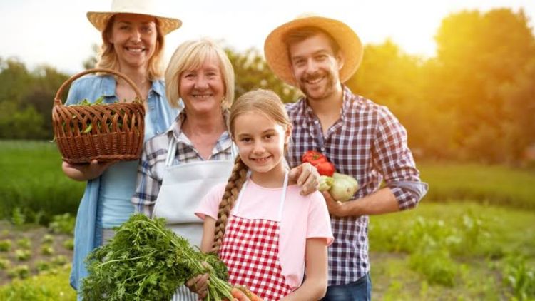 Foto: Imagem ilustrativa 