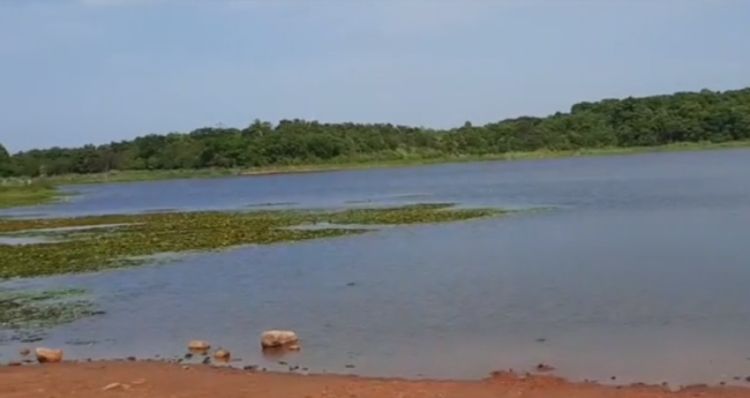 Foto: reprodução/video/FM Imperial