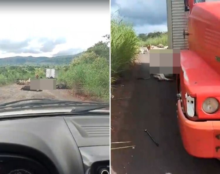 Foto: Reprodução/ Redes Sociais 