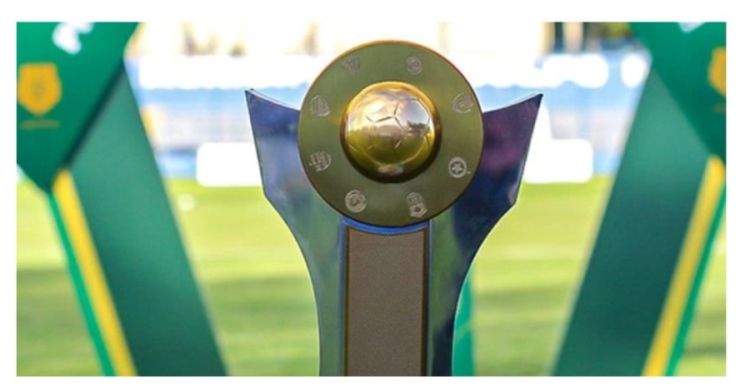 Taça do Campeonato Piauiense - imagem ilustrativa — Foto: Reprodução