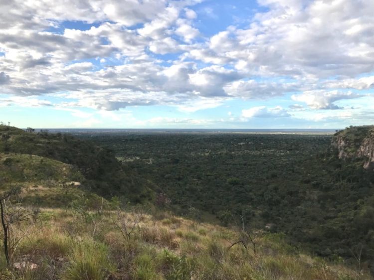 Foto: David Ferreira