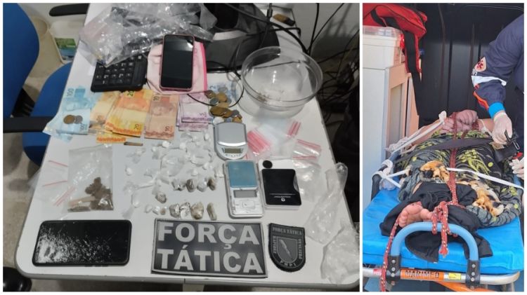 Foto: Divulgação/PM 