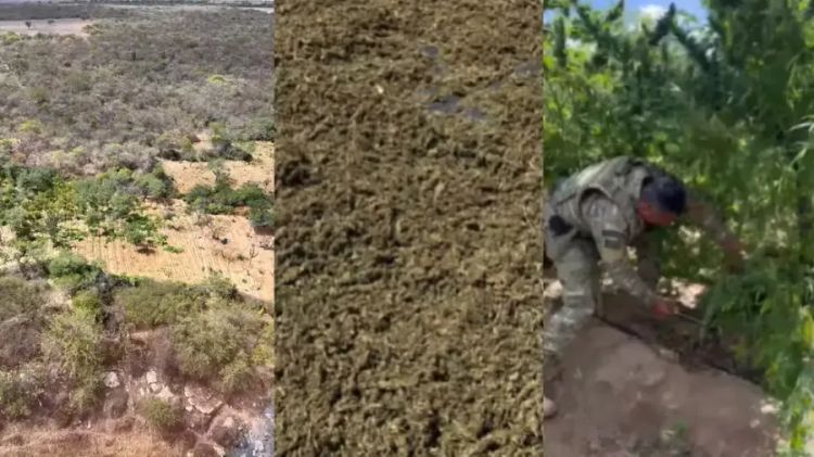 Foto: Divulgação/SSP 