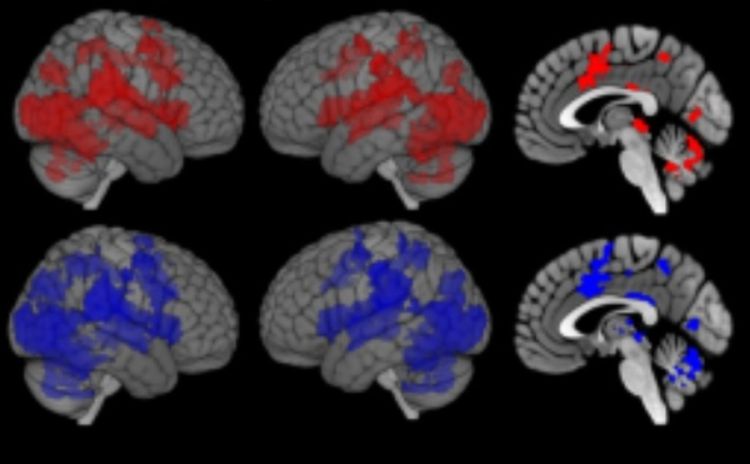 Pesquisa analisou que quando pessoa com sinal de doença se aproxima, isso ativa áreas de defesa no cérebro — Foto: Reprodução