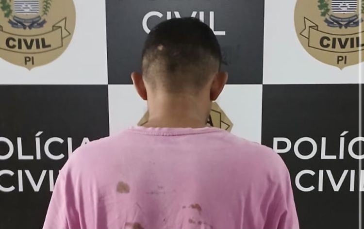 Foto: Divulgação/ PC-PI 