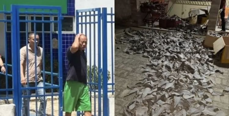 Foto: Reprodução / TV Clube 