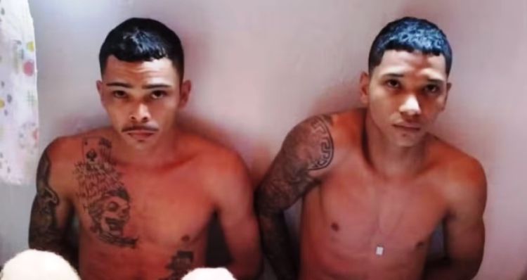 Fotos: Divulgação/Antena10