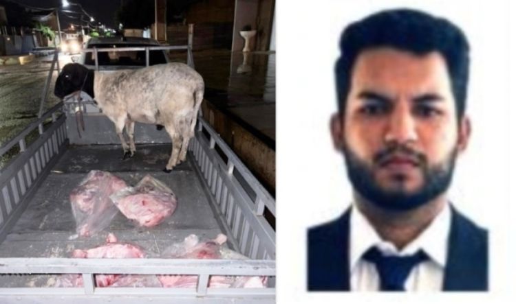 Montagem do Em Foco com fotos de divulgação