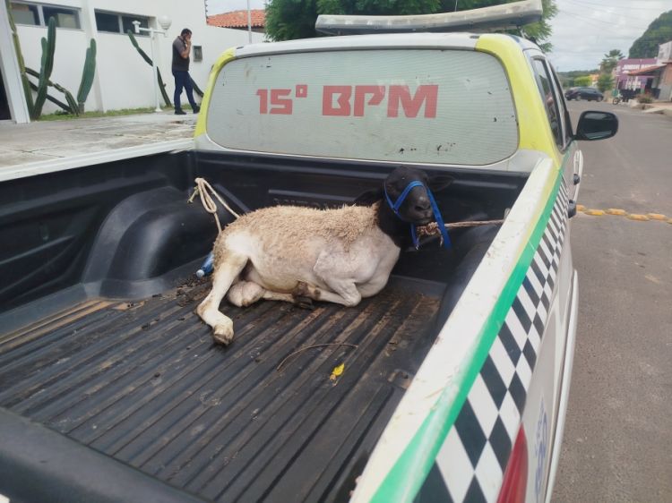 Foto: Campo Maior em Foco