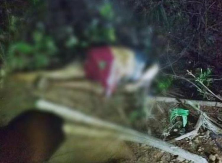 Com informações do piripirireporter e piripiri40graus