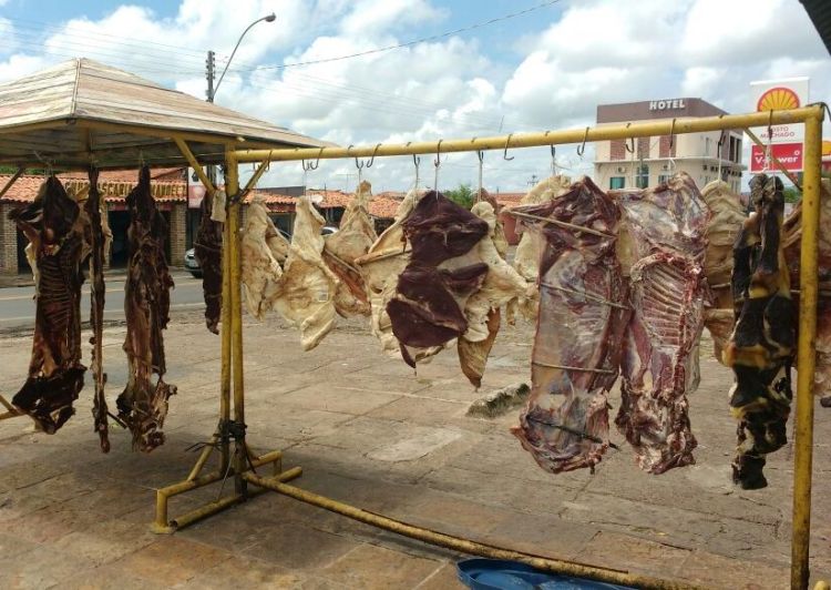 Fotos: Otávio Neto/Campo Maior Em Foco e Divulgação/Marcus Paixão