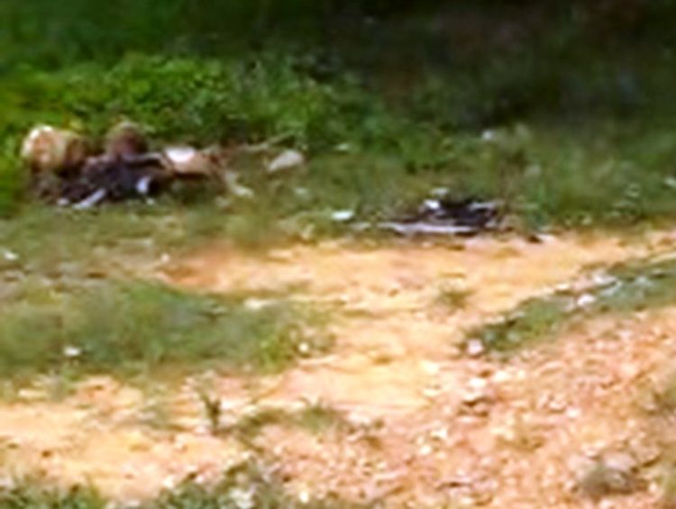 Um dos corpos encontrados já estava apenas a ossada humana