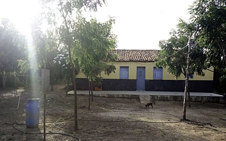 Fonte: Cidade verde / Foto: PM